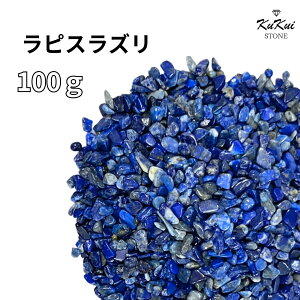  sXY  100g p[Xg[ VR 򉻗p `bv TU   J^   VR R p[ GlM[ K 򉻃ObY VAZ q[O K^  