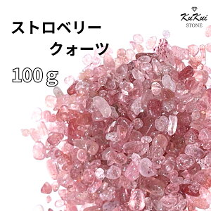  Xgx[NH[c  100g p[Xg[ VR 򉻗p `bv TU   J^   VR R p[ GlM[ K 򉻃ObY VAZ q[O 