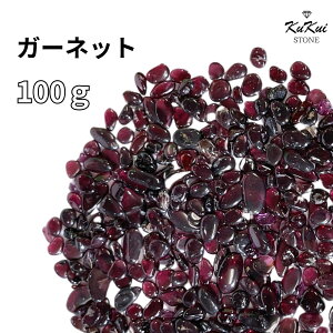  AWXg  100g p[Xg[ VR 򉻗p `bv TU   J^   VR R p[ GlM[ K 򉻃ObY VAZ q[O K^  