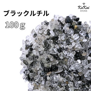  ubN`NH[c  100g p[Xg[ VR 򉻗p `bv TU   J^   VR R p[ GlM[ K 򉻃ObY VAZ q[O