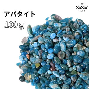  Ap^Cg  100g p[Xg[ VR 򉻗p `bv TU   J^   VR R p[ GlM[ K 򉻃ObY VAZ q[O K^  