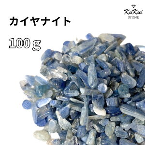  JCiCg  100g p[Xg[ VR 򉻗p `bv TU   J^   VR R p[ GlM[ K 򉻃ObY VAZ q[O K^  