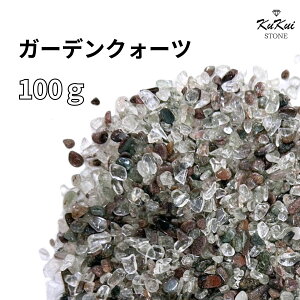  K[fEH[N  100g p[Xg[ VR 򉻗p `bv TU   J^   VR R p[ GlM[ K 򉻃ObY VAZ q[O K^ 