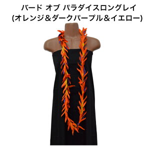 yo[h Iu p_CXOC(IW_[Np[vCG[)znCACEtK[KIt_X nC CeA nCAG