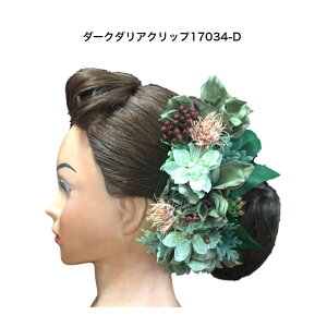 ハワイアン クリップ その他のバレエ ダンス 新体操用品の人気商品 通販 価格比較 価格 Com