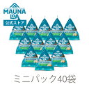 【マウナロア公式】＜40袋＞マウナロア ガーリックオニオンマカダミアナッツ【日本語】｜ハワイ お土産 ギフト