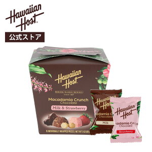 ynCAz[XgzICVbv聄nCAz[Xg A\[gN`{bNXi~NXgx[j16bnC yY Mtg