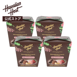 ynCAz[Xgz4ZbgIC聄nCAz[Xg A\[gN`{bNXi16jbnC yY Mtg