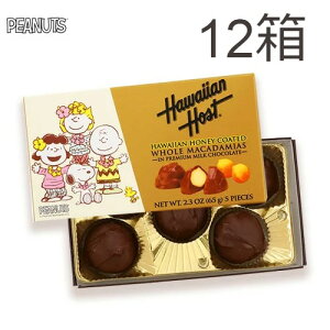 スヌーピー チョコレートの通販 価格比較 価格 Com