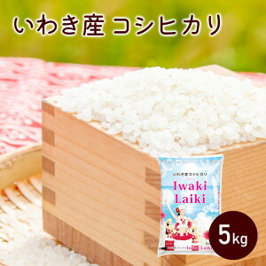킫YRVqJ 킫CL 5kg ߘa6NYŏI10/14܂Ły  zY    āyӂ܃vChΏۏiz tK[ Mtg lC nyll2_