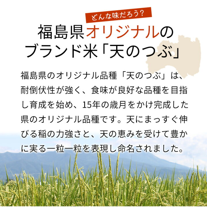 楽天市場】＼エントリーで最大5000Pバック抽選／福島県産 天のつぶ 5kg 