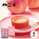 チーズタルト桃 （6個入） 柏屋 もも スイーツ ギフト 福島 お土産 お菓子 菓子 御祝 菓子折り 内祝 御供 法事 ギフト 帰省 お中元 季節限定