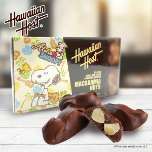 スヌーピー チョコレートの人気商品 通販 価格比較 価格 Com