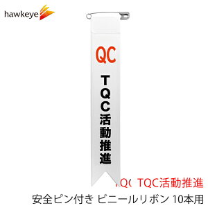 Sst rj[{ 10{ TQCibʈS S ЊQ Jq 댯\m ΍З\h i ď ڈ obW Г   T ڕW