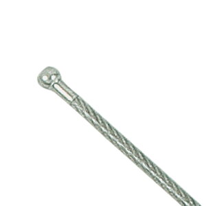 y11/11 2܂MAX1~OFFN[|PAbvz Goj[ EVERNEW {[VN SUSC[25 25mv[ R[X[vpp[c rj[햌tXeXC[ j wZ  ̈ 