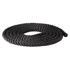 y11/18̓|Cg10{z Goj[ Evernew y[J[iz g[jO[v9m wZ̈ ̈   Nu `[ g[jO g[jOpi [v 9m ؗ̓Abv ETB596