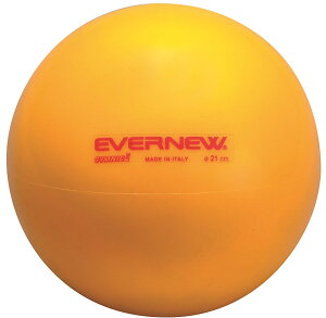 y12/3 20Si3%OFFN[|&PAbvz Goj[ Evernew ̃cN^{[ wZ̈ ̈   Nu `[ ̂ ETE302