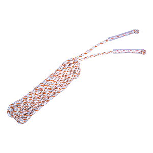 y11/30Si3%OFFN[| 撅100&P10{z g[GCCg TOEI LIGHT Ȃ NS-6M  Ȃ  ȂƂ ̎ ꒵ 8̎ NX΍R ̈ ̈ wZ NG[V w