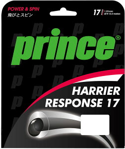 y9/15̓|Cg10{z vX Prince ejX HARRIER RESPONSE 17 Kbg ejXPbg XgO XgOX  Nu `[ K 7JJ032 336