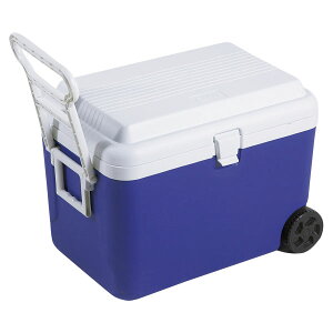 y11/11~ȏ5%OFFN[|P10{z LveX^bO CAPTAIN STAG AEghA K[h zC[N[[48L BL M-5059 ۗ Lv o[xL[ h d΍ hЃObY ً} ЊQ