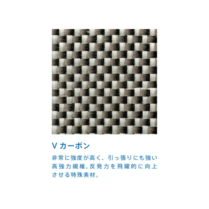 楽天市場】【3/10から全品4%OFFクーポン&Pアップ】 VICTAS ヴィクタス 
