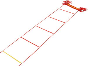 【10/30はポイント10倍】 ダンノ DANNO トレーニングラダー 赤 レッド ジョイント付 トレーニング ラダー サッカー 野球 基礎トレーニング アップ バスケ ラグビー フットサル フットワーク D347