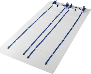 【10/30はポイント10倍】 ダンノ DANNO ラダーL550 2本1組 トレーニング ラダー サッカー 野球 基礎トレーニング アップ バスケ ラグビー フットサル フットワーク ジョイント付 D5307