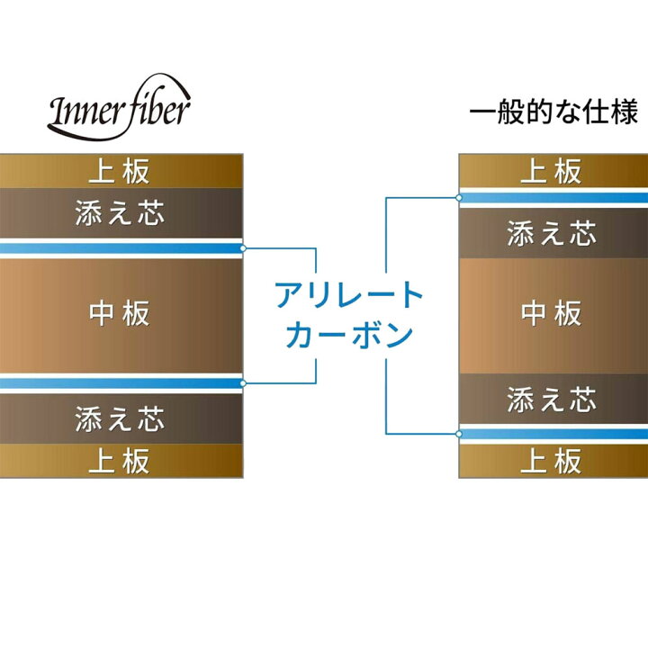 楽天市場】【1/5まで全品3%OFFクーポン】 バタフライ Butterfly 卓球 