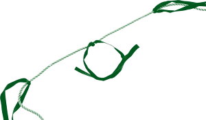 y12/3 20Si3%OFFN[|&PAbvz Jl KANEYA ނŃ[v5 K-3469 wZ̈ wZi ^pi ^  ̈ wZ `[v[ `[[N g[jO K3469 GN