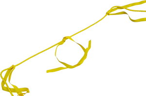 y12/3 20Si3%OFFN[|&PAbvz Jl KANEYA ނŃ[v5 K-3469 wZ̈ wZi ^pi ^  ̈ wZ `[v[ `[[N g[jO K3469 YL