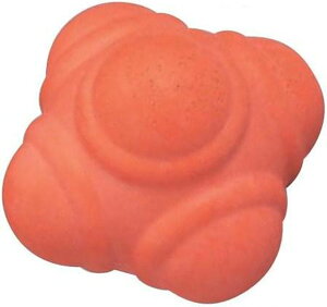 y12/3 20Si3%OFFN[|&PAbvz Jl KANEYA CM[{[ K-699 wZ̈ wZi   Nu g[jO ː_o ̎ W NG[V EH[~