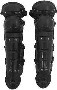 y10/30̓|Cg10{z t@R FALCON Np\tg{[Lb`[K[X RG-100BK RG100BK