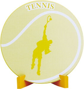 y11/30Si3%OFFN[| 撅100&P10{z t@R FALCON ejX FX^hZbg ejX SK-005 SK005