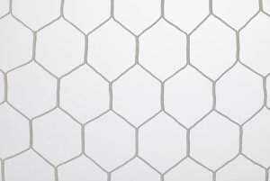 y12/11 2܂MAX1~OFFN[|&PAbvz Oä TbJ[ TbJ[ S[lbg ʗpTbJ[S[lbg wZ ̈  Nu  i  pi p C CU C Z