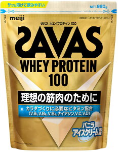 y10/30̓|Cg10{z UoX SAVAS UoX zGCveC100 ojACXN[ 980g g[jO W r^~ zGCveC100 vʃXv[t ؃g ς 2631928