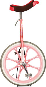 【10/30はポイント10倍】 エバニュー EVERNEW 【メーカー直送品】 一輪車 エアタイヤ 20 小学校中学年 高学年 パステル調 空気注入式 学校 遊び レクリエーション 体操 練習 休み時間 EKD344