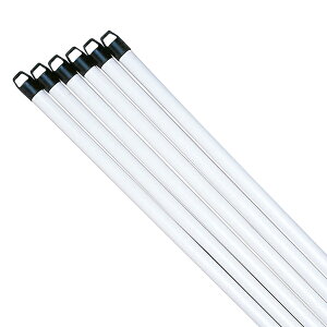 y12/10Si5%OFFN[|&P13{z g[GCCg TOEI LIGHT y[J[iz tbO|[ F6  zCg   tbO |[ 6{1g ^ k  NX΍R NX N