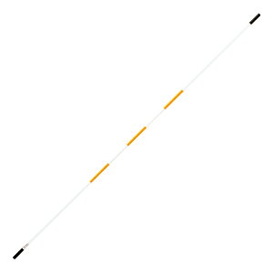 y11/25͑Si4%OFFN[| 撅200&P10{z g[GCCg TOEI LIGHT y[J[iz nCubgOXo[ST400   OXo[ 荂 _  nCWv {