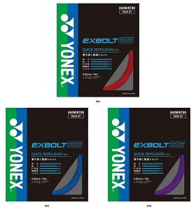 y9/25MAX1~OFFN[|&P10{z lbNX YONEX oh~g GNX{g65 EXBOLT Kbg XgO X}bV e ŋ Rg[ u[fBOH Pbg  K 