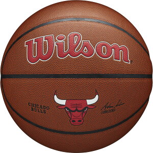 �y7/30���� �|�C���g10�{�z �E�C���\�� Wilson �o�X�P�b�g NBA TEAM ALLIANCE �o�X�P�b�g�{�[�� �V�J�S�E�u���Y �P�C�W���[ ���� 7���� �j�q ���w�� ���Z�� ��w�� ��� ������v ������ �T�[�N�� 3100XB