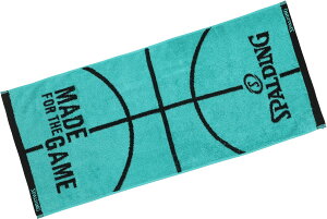 y10/30̓|Cg10{z X|fBO SPALDING oXPbg WJ[h ^I {[`[t SAT211290