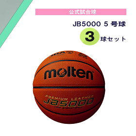 モルテン molten JB5000 5号球 3球セット B5C5000S3