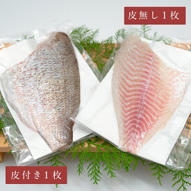 高知県 柏島産 柏島真鯛 皮なし 皮あり フィーレ500g 2～3人前 / 1000g 4～6人前 / 1500g 7～9人前真鯛 刺身 鯛 お刺身 刺し身 切り身 切身 高知 ギフト 贈り物 贈答 お土産 お取り寄せ 海鮮 魚 真空パック 刺身用真鯛 刺身通販 鯛の切り身 高知名産 海鮮グルメ