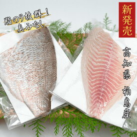 高知県 柏島産 柏島真鯛 皮なし 皮あり 贅沢 フィーレ 食べ比べ500g 2～3人前 / 1000g 4～6人前 / 1500g 7～9人前真鯛 刺身 鯛 お刺身 切り身 切身 刺身セット 高知 ギフト お土産 お取り寄せ 海鮮 真空パック 刺身用真鯛 刺身通販 鯛の切り身 高知名産 海鮮グルメ