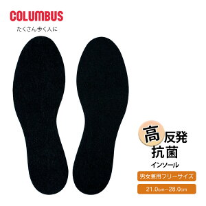 RuX C\[ Ռz y Sy ~  C\[ Cp V[Y C\[ jp t[TCY 21.0cm`28.0cm TCY\ l q l 