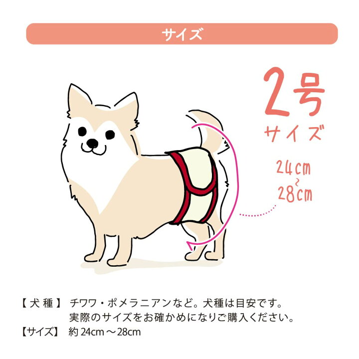 楽天市場 犬用マナーベルト マナーバンド オムツカバー ドッグウェア ウエア トイレ おしっこ オシッコ失敗 シンプル しつけ マーキング防止 男の子 オス ペットグッズ 介護用品 介護グッズ 尿漏れ お出かけ 散歩 ドッグラン マルチマナーベルト2号 約24 28cm 楽天市場 犬用マナーベルト マナーバンド オムツカバー ドッグウェア ウエア トイレ おしっこ オシッコ失敗 シンプル しつけ マーキング防止 男の子 オス ペットグッズ 介護用品 介護グッズ 尿漏れ お出かけ 散歩 ドッグラン マルチマナーベルト2号 約24 28cm