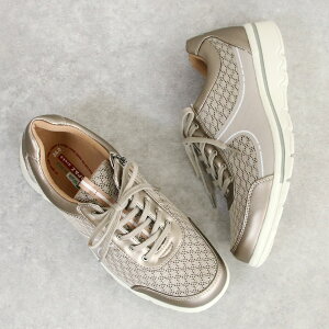 gp[YAR RtH[gV[Y fB[X  L 3e EH[LOV[Y y R hL h C t@Xi[ ₷ JWAV[Y    ~ZX ̓ hV