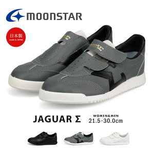 [X^[ Xj[J[ fB[X Y WjA y   ЂȂ ʃt@Xi[ { Vv ₷ ₷ y [Jbg EH[LOV[Y JWA X|[