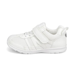 Ct~[ qC V Xj[J[ LbY ̎q LbYXj[J[ j̎q Xj[J[ WjA y SЂ ^C ct wZ ʊw ₷ Vv  C j a v