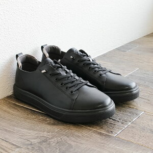 JWAV[Y Y  c{ ʉC\[ Ռz am C }bT[W ɂ y܂ A[`T|[g d Vv ^ U[CN V[Y X